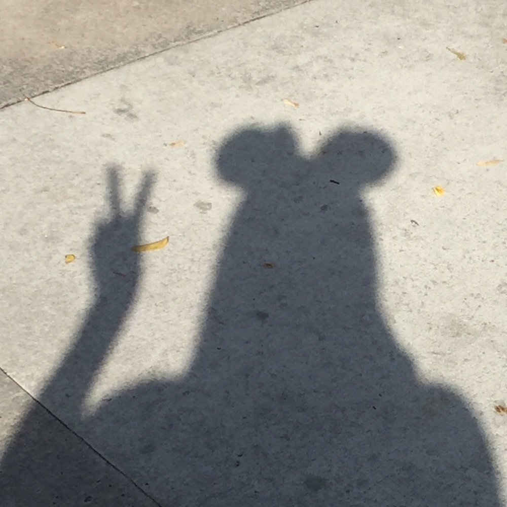 Meet your Posher, Harriett